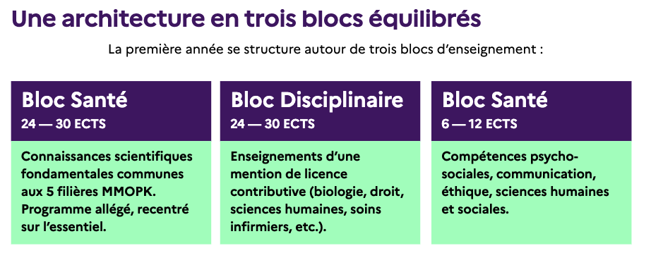 « Réforme de la réforme » des études de santé : des licences pour tous mais avec quels moyens ?